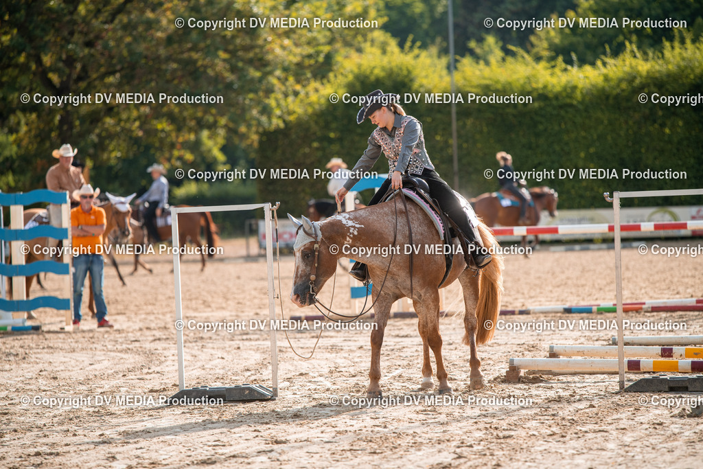 ZS3_9076 | dv-media-shop - Realisiert mit Pictrs.com