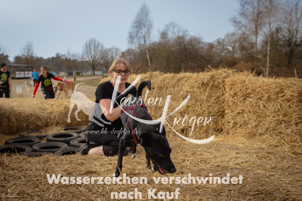 1133_ZZ94296 | kk-dogfotos
