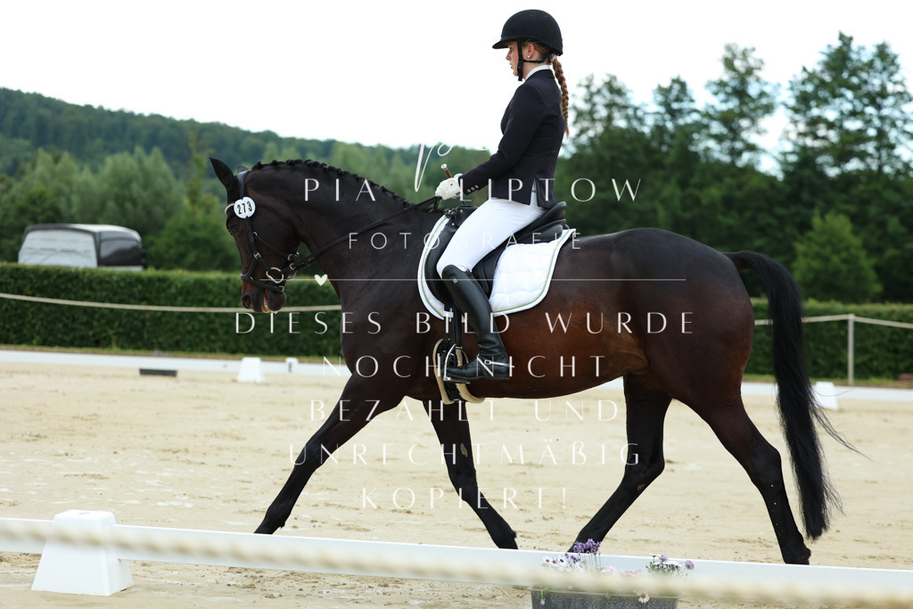 IMGM2103 | pl-fotografie