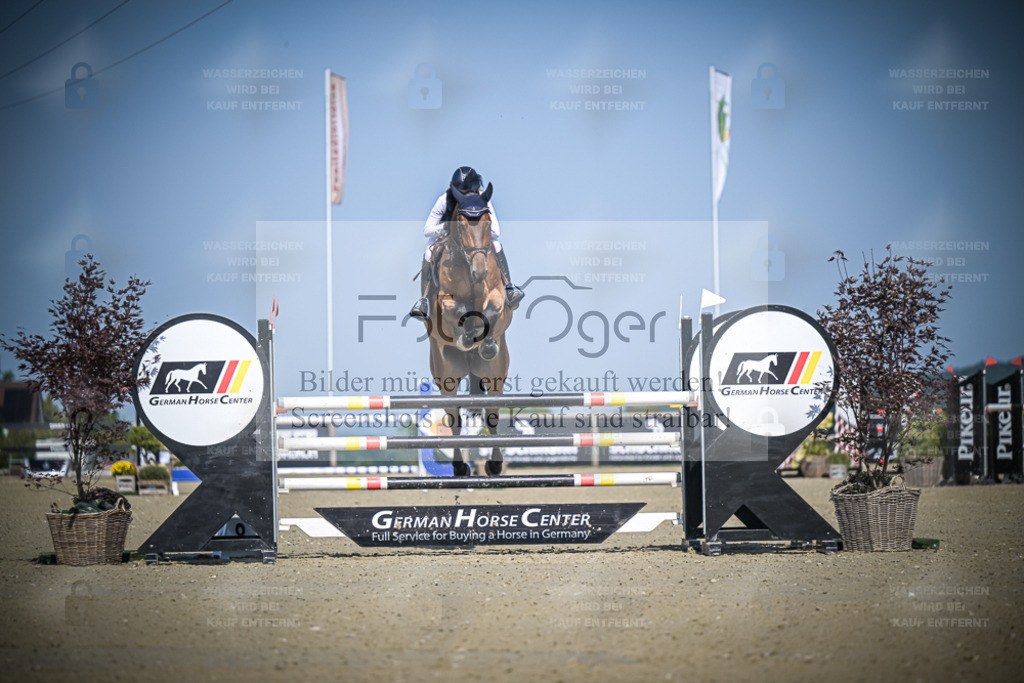 DOS_0065 | Entdecke hochwertige Reitturnierfotos von Foto Oger. Professionell, emotional und authentisch – jetzt Lieblingsmomente im Shop bestellen. - Realisiert mit Pictrs.com