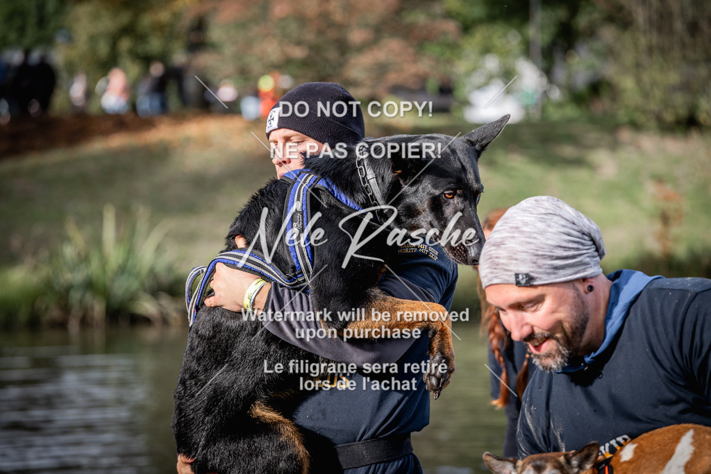 nelerasche_Sa1545-Ende_166 | nelerasche