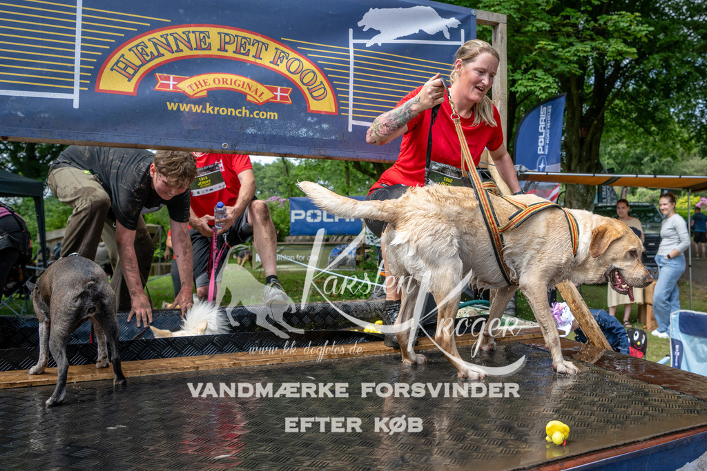 1113_ZZ93171 | kk-dogfotos