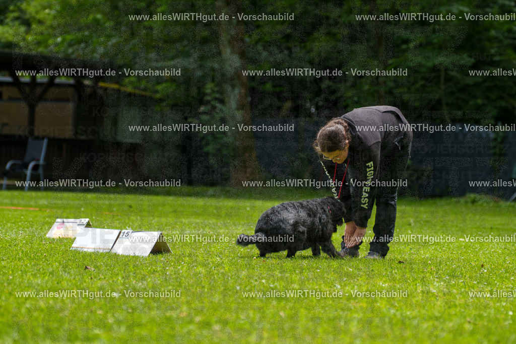 @allesWIRTHgut_Tierfotografie - www.allesWIRTHgut.de - 7R500755 | Professionelle Tierfotografie in Mönchengladbach von Daniel Wirth (allesWIRTHgut). Liebevolle & natürliche Bilder von Hunden & Katzen für unvergessliche Erinnerungen.
