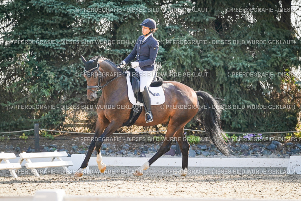 DSC08549 | Pferdegrafie