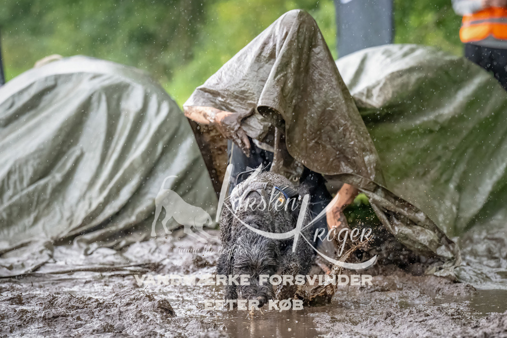 0932_ZZ91181-Bearbeitet | kk-dogfotos