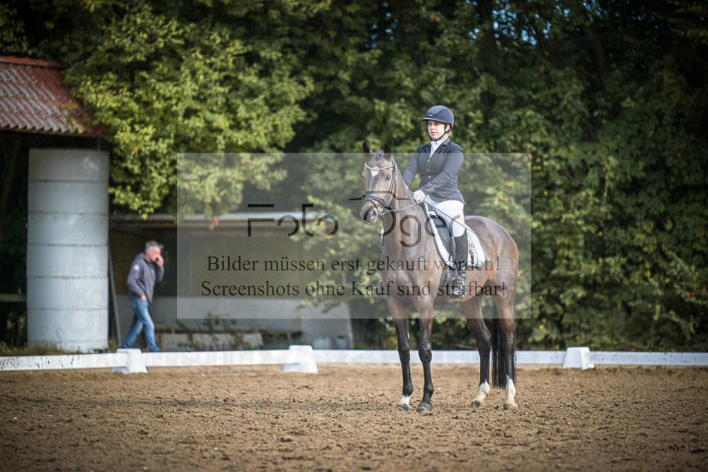 DOS_0021 | Entdecke hochwertige Reitturnierfotos von Foto Oger. Professionell, emotional und authentisch – jetzt Lieblingsmomente im Shop bestellen.Deutschlandweite Turnierfotografie. - Realisiert mit Pictrs.com