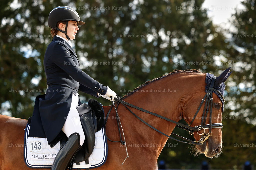 6-143-AMATUER-DRESSUR S_  -StoibPH-3425 | working equitationturnier fotograf videograf stoibphotography marixx film working equitation deutschland reitsport turnierfotografie eventfotografie equestrian events