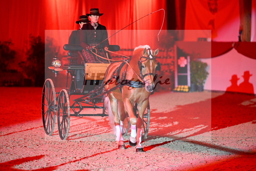 DSP_Avici_As_Karosser_2254553 | hf-fotografie - Realisiert mit Pictrs.com