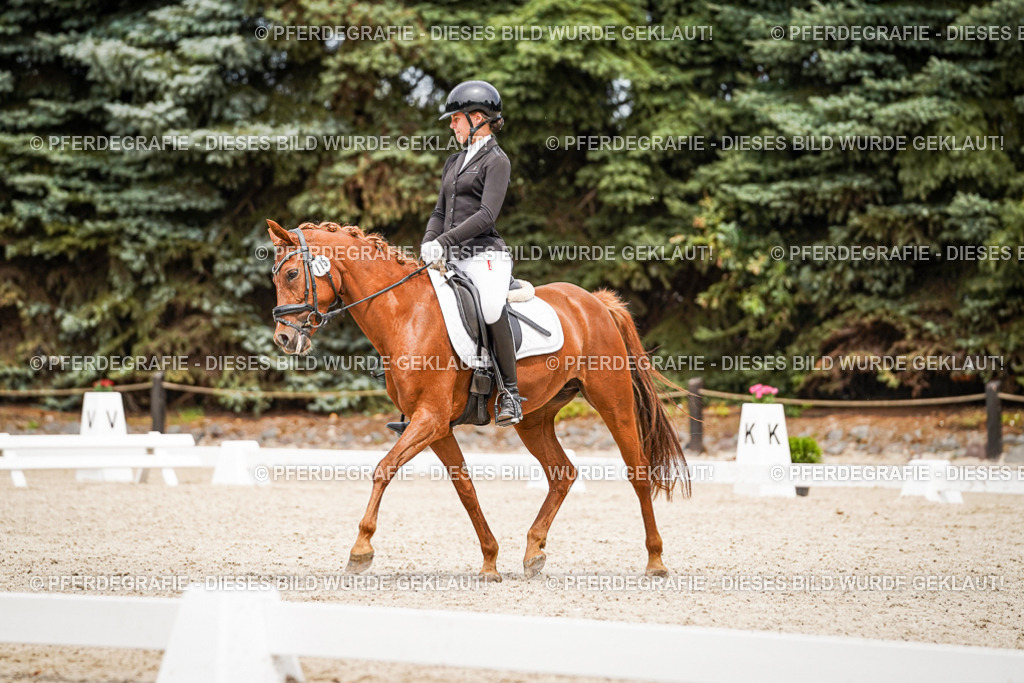 DSC04302 | Pferdegrafie