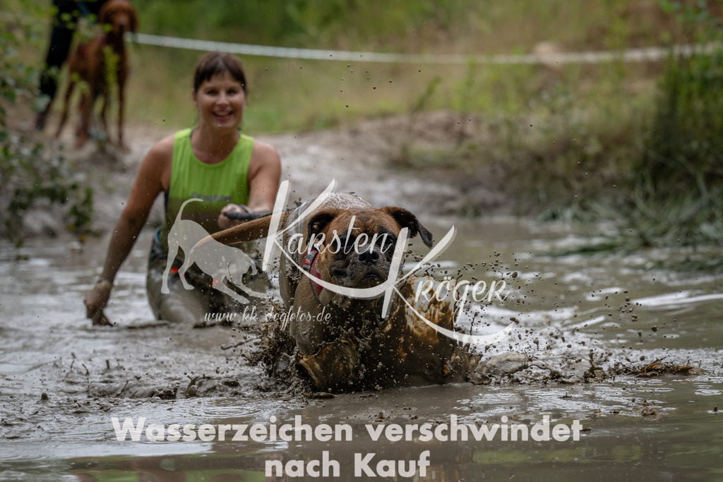 1436_ZZ92028 | kk-dogfotos
