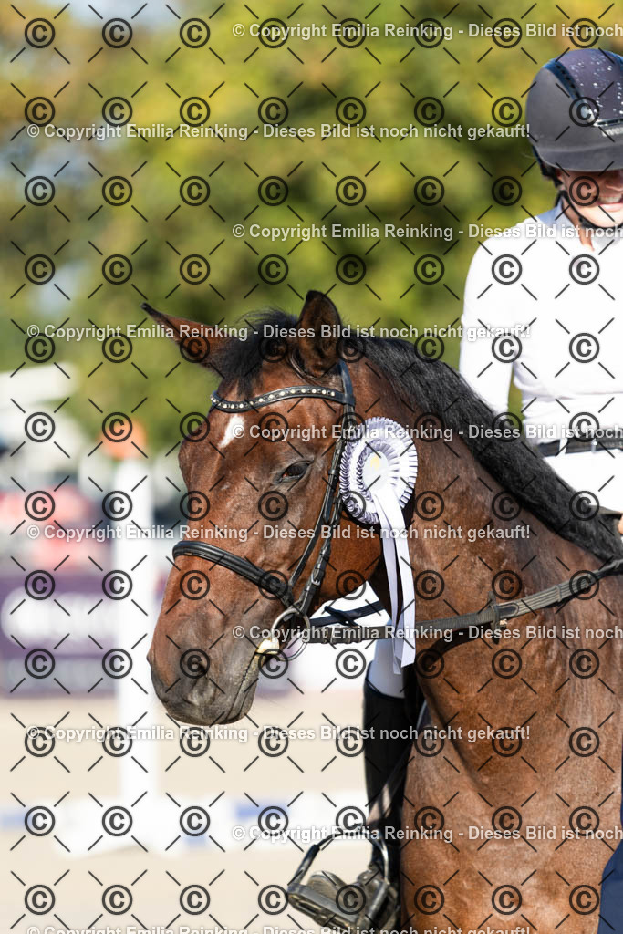 CL5A8152 | Emilia Reinking Fotografie - Realisiert mit Pictrs.com