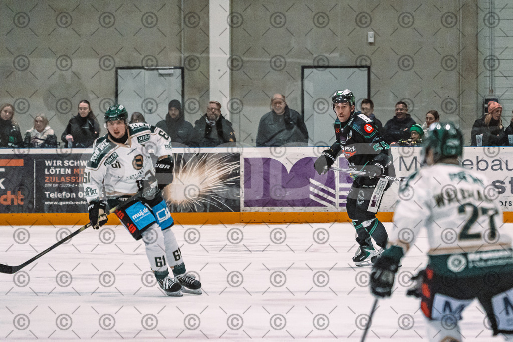 Alligators_vs_Erding_12_12_2025-110 | Höchstadt Alligators Fotogalerie: Eishockey-Action aus Franken. Professionelle Spielfotos, Portraits & Stadionbilder zum Download. Jetzt entdecken! - Realisiert mit Pictrs.com