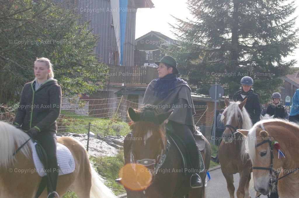 IMGP0980 | fotografiert von Axel PollmannLeonhardi Wallfahrt Benediktbeuern und Murnau, Fronleichnam, Fasching, Landschaft im Loisachtal und Benediktbeuern  - Realisiert mit Pictrs.com