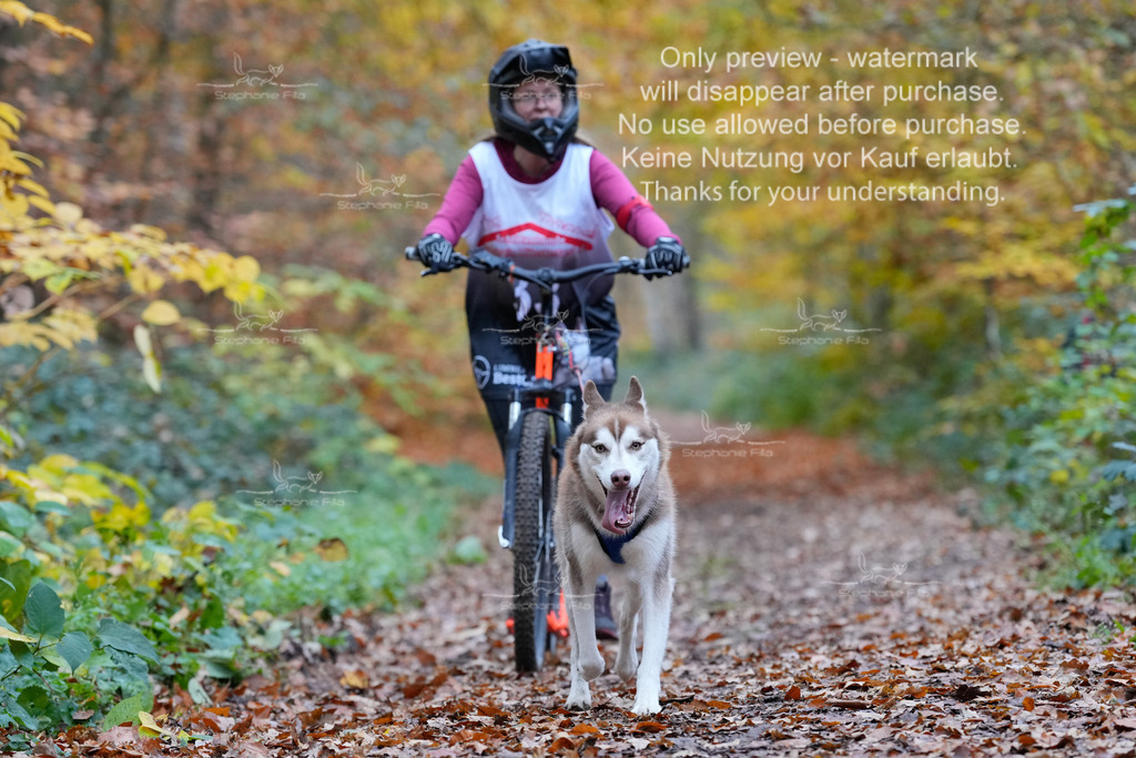 Scooter_So-107 | stephaniefillaphotographie - Realisiert mit Pictrs.com