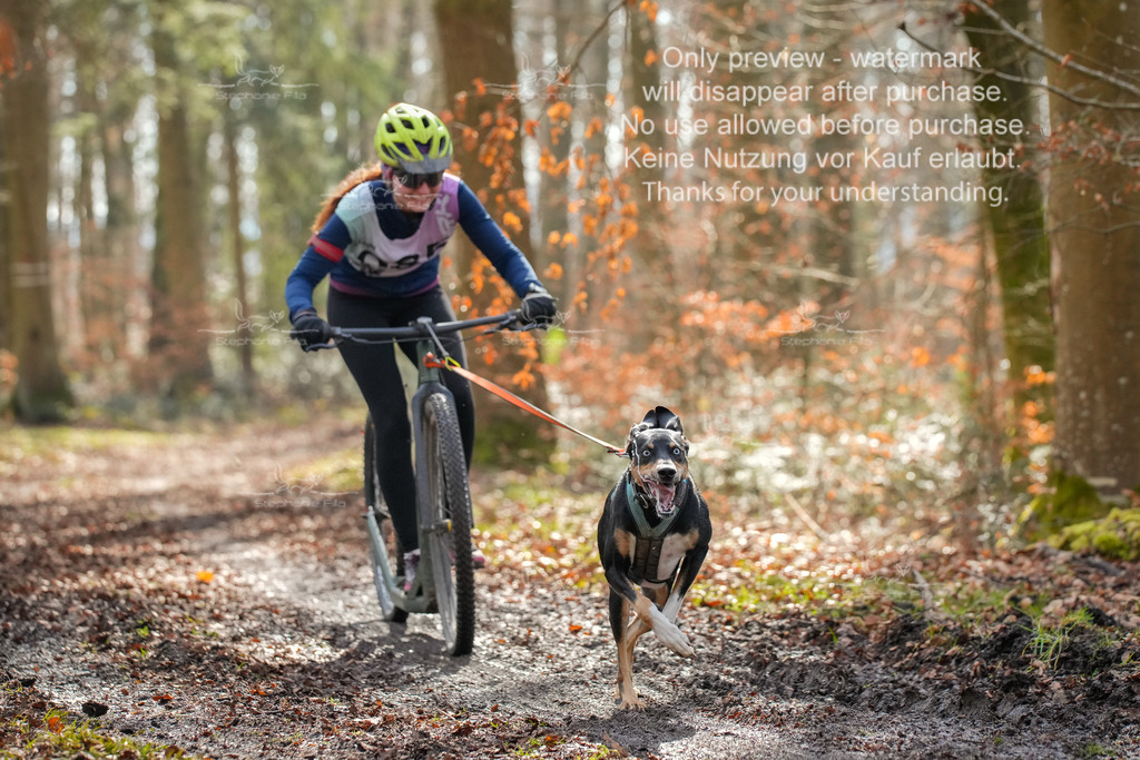 So_Scooter1-33 | stephaniefillaphotographie - Realisiert mit Pictrs.com