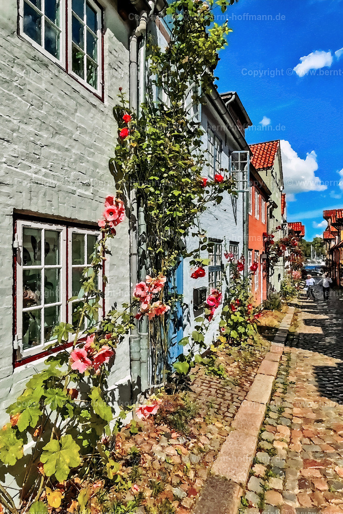 PDM2_2844_FL_OS-Gang_120x180 | DIGITALKUNST. Sommer in Flensburg - Stockrosenblüte. __ Oluf-Samson-Gang am Hafen-Westufer. Stockrosen blühen vor den Fassaden der historischen Häuschen. - Realisiert mit Pictrs.com