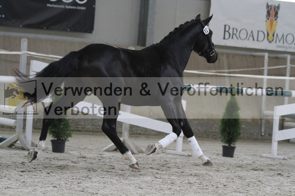 _MG_9509 | equestrian-live-com