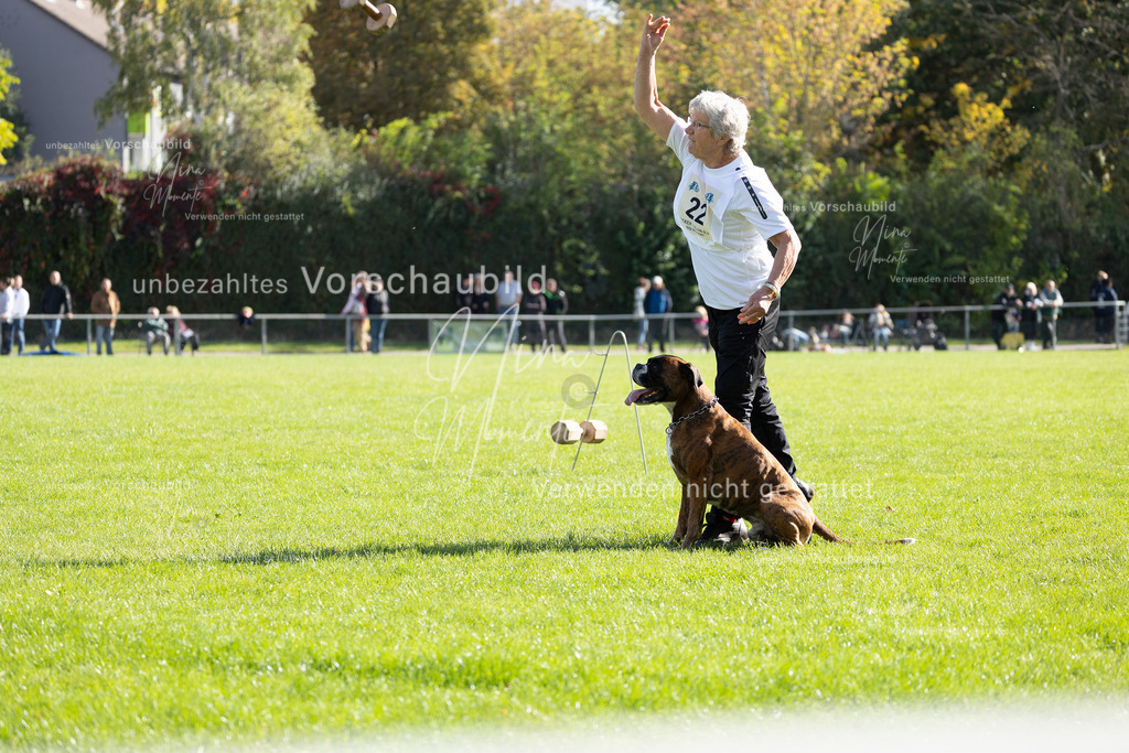 _16A5262 | Einzigartige Fotos von Hunden & Menschen –Actionfotos, Portraits, Vereinsaufnahmen & Paarshootings – authentisch, lebendig & mit Herz.