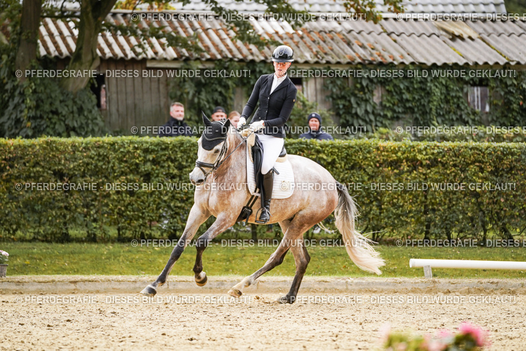 DSC01482 | Pferdegrafie