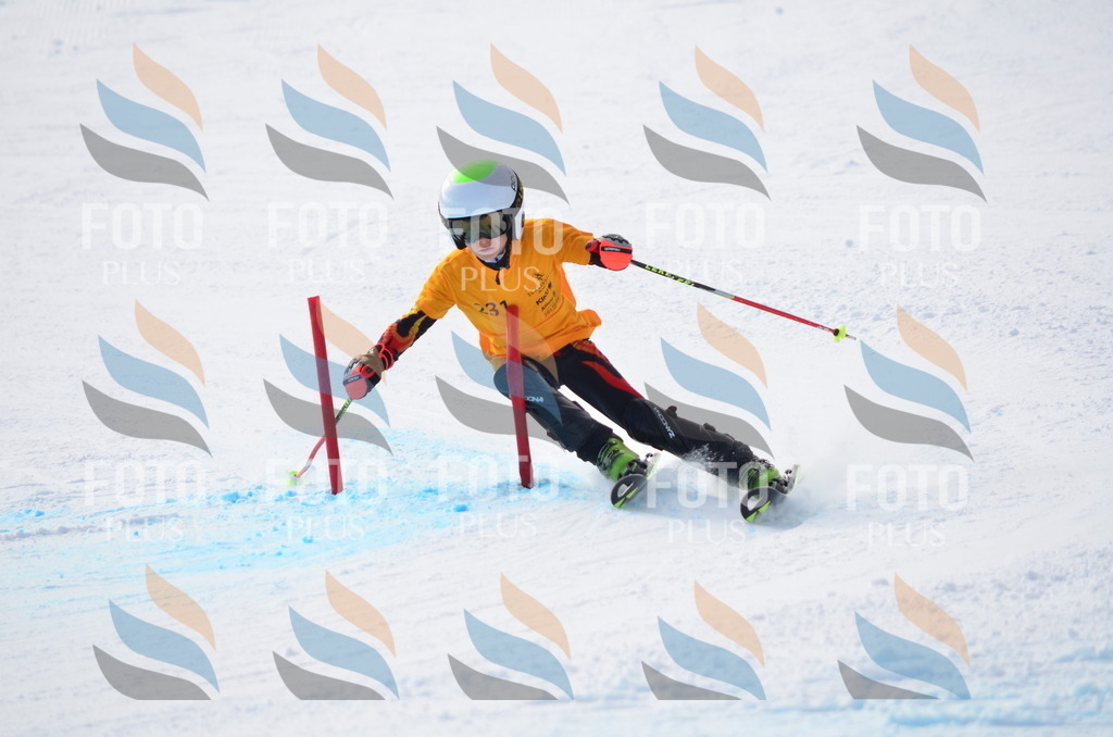 C8308 | holidayphoto