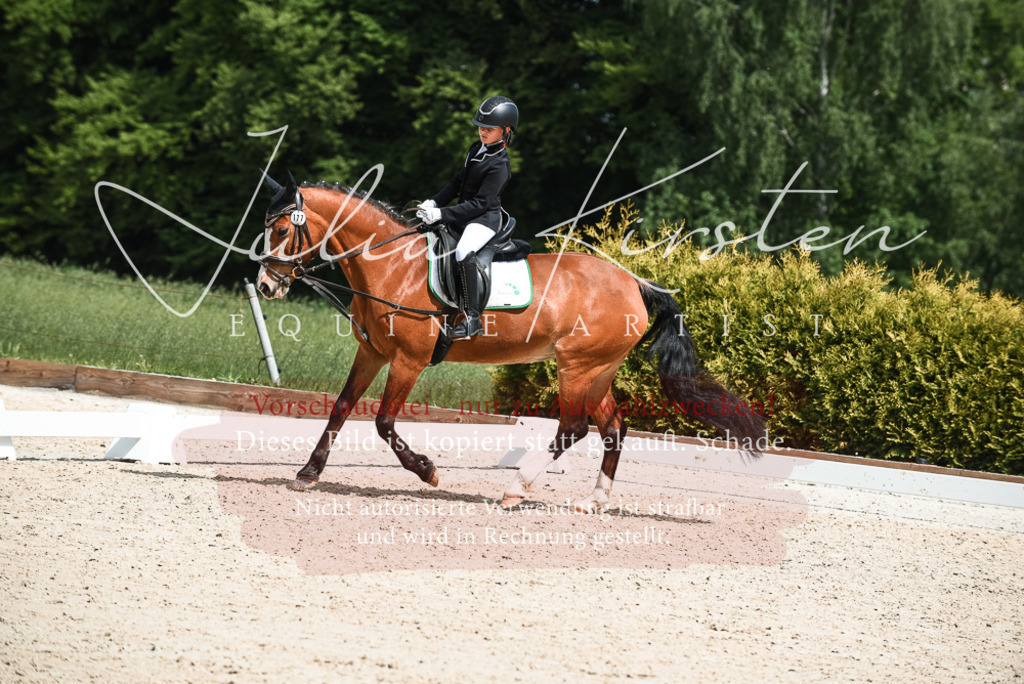 20230518_JK-Röhrsdorf-11-0809 | Pferde- und Turnierfotografie in Westsachsen. Pferdeportraits, Auftragszeichnungen und intuitive Kunst.