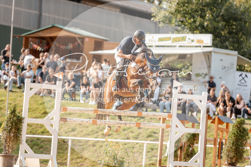 3I6A4956 | Stimmungsvolle Portraits und Reitsportfotografie im Ruhrgebiet und im Münsterland.

Pferdefotografie, Hundefotografie, Tierfotografie, Reportagen, Portraits von Tier und Mensch, Turnierfotografie in Bochum, Recklinghausen, Marl, Haltern am See, Dülmen.. - Realisiert mit Pictrs.com