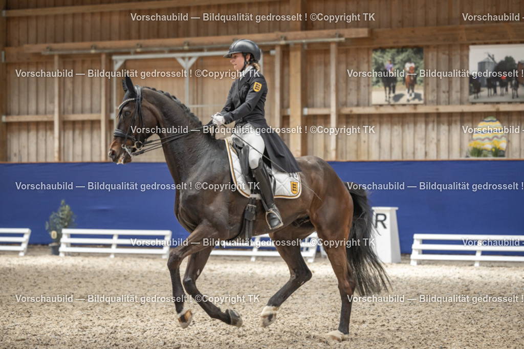 _D5A2851 | Emotionale Pferde- & People-Fotografie rund um Heidelberg, Leimen & Umgebung. Natürliche Fotos von Pferd, Mensch & Familie. Jetzt Termin sichern!