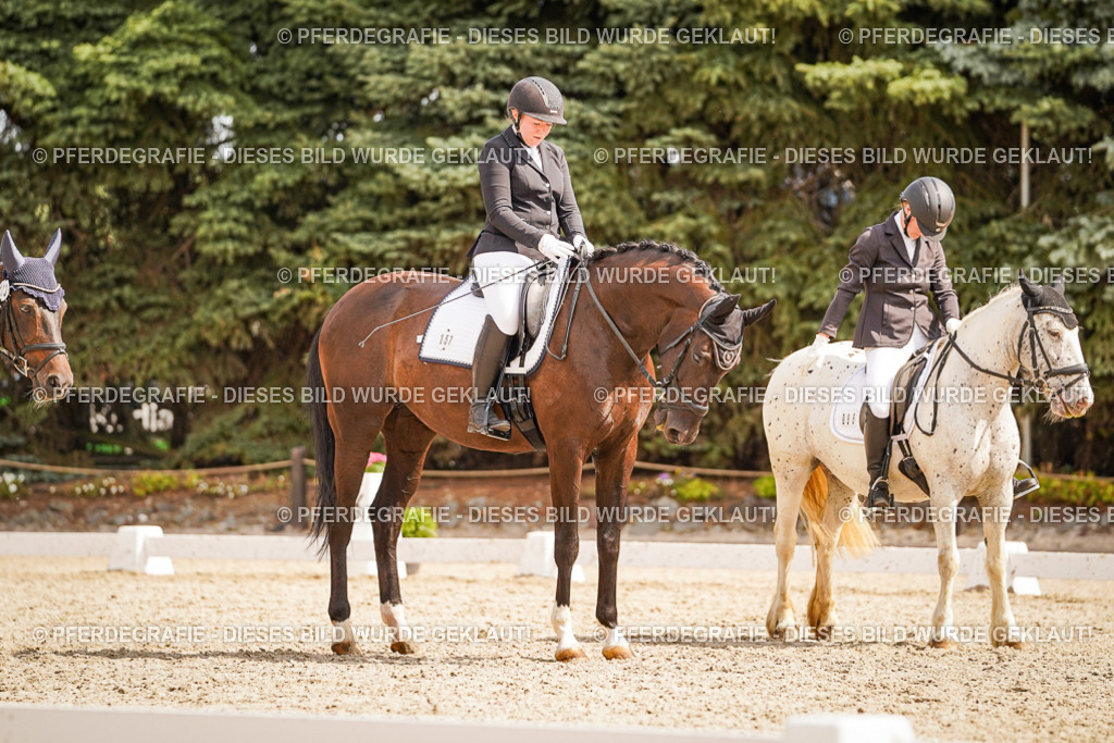 DSC01589 | Pferdegrafie