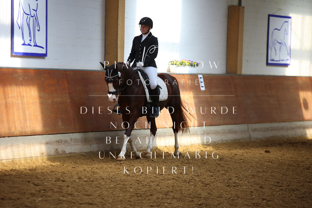 IMGT5191 | pl-fotografie