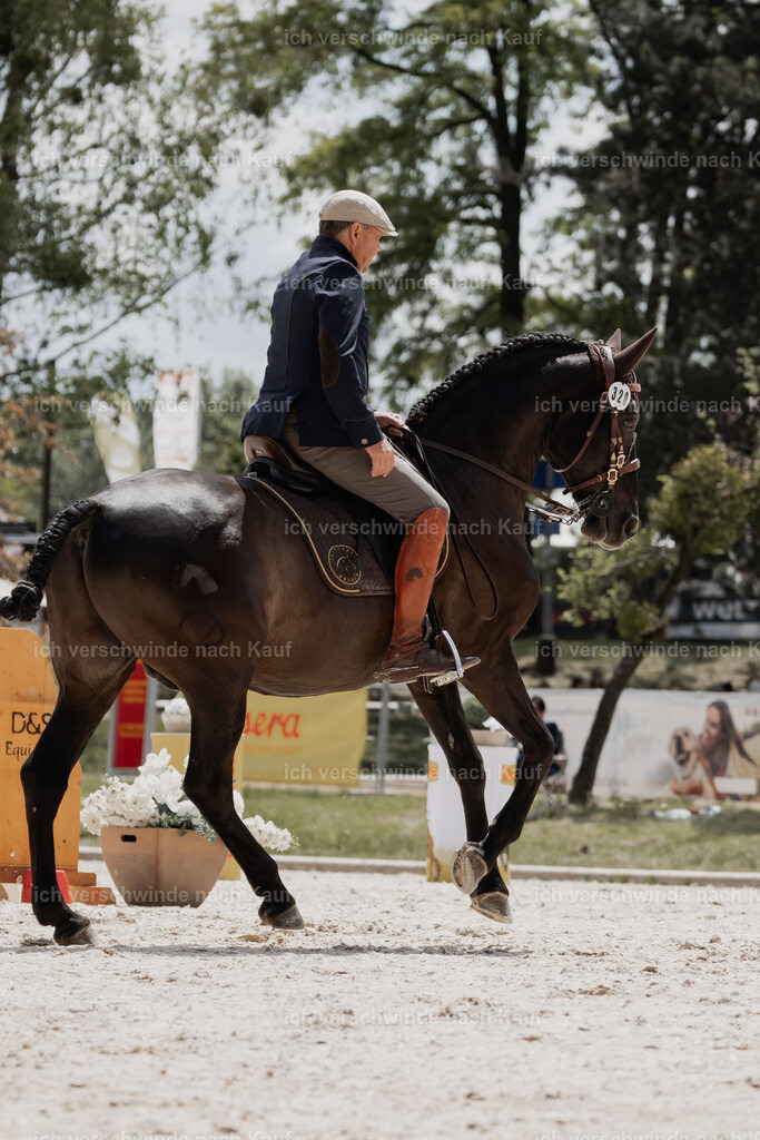 WE_ST_Stoib_320_PI2025_1093 | Pferd International München 2025