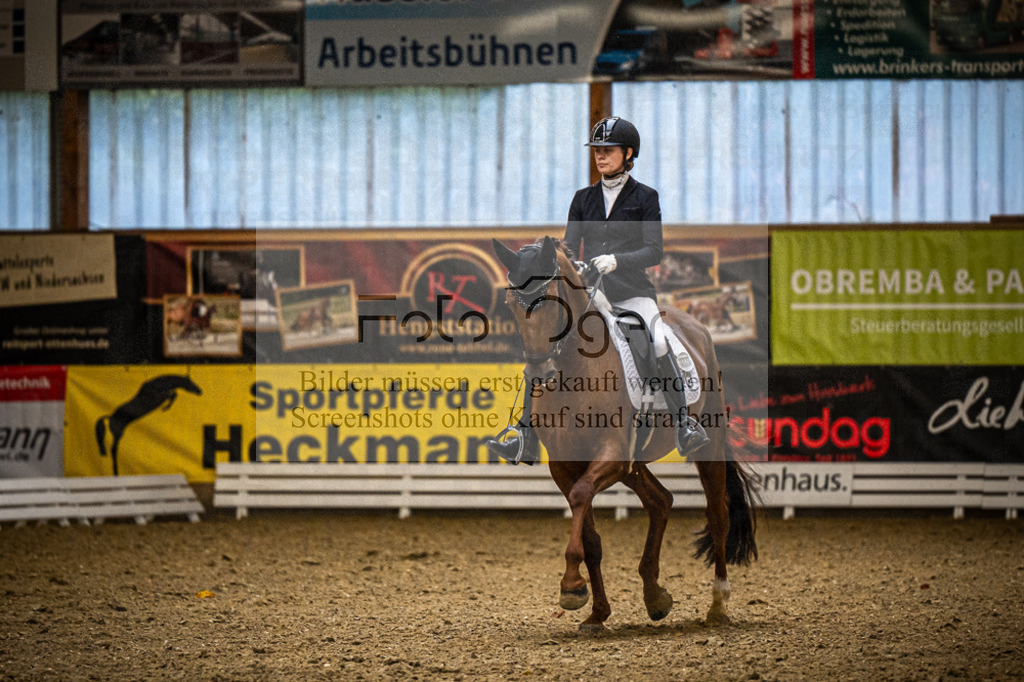 DOS_1077 | Entdecke hochwertige Reitturnierfotos von Foto Oger. Professionell, emotional und authentisch – jetzt Lieblingsmomente im Shop bestellen.Deutschlandweite Turnierfotografie. - Realisiert mit Pictrs.com