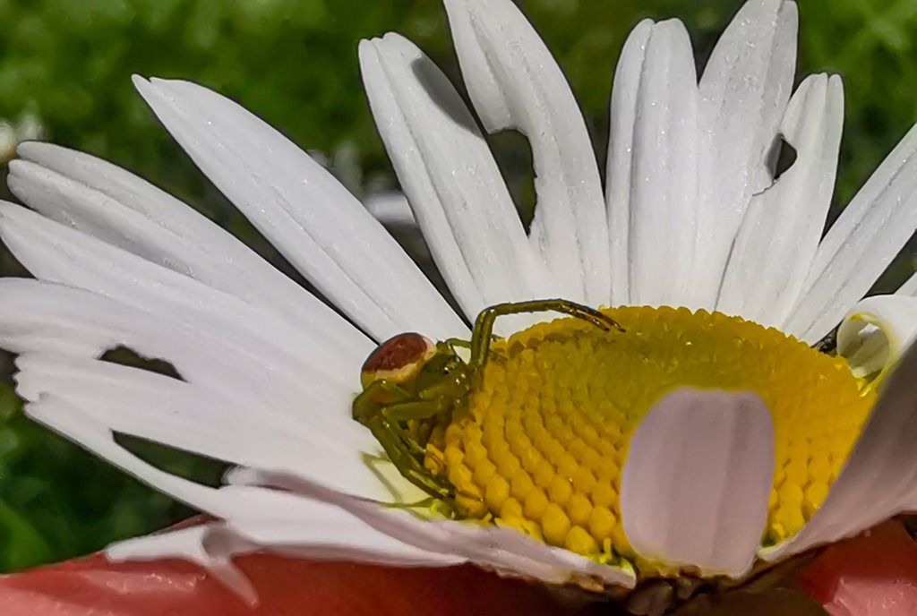 PSX_20240517_222446 | mtkfoto_ - Realisiert mit Pictrs.com