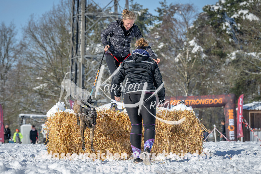 1031_ZZ91527-2 | kk-dogfotos