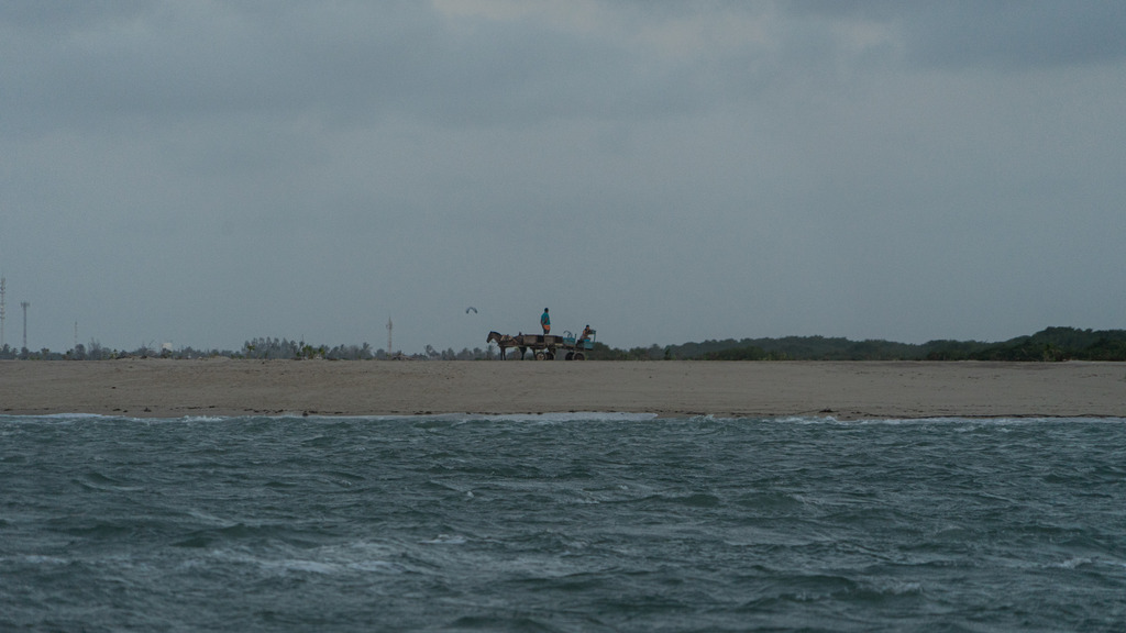 20251110-KiteBrasil-0050 | paulependelt - Realisiert mit Pictrs.com