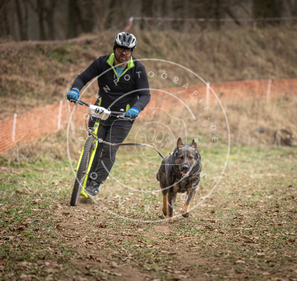 Pfotenfotografie_DV3A7145 | Hundefotografie, Tierfotograf, Pfotenfotografie, Fotoshooting Hund, Hunde Portrait, Hundesport, Hundeportraits, Heideshooting, Hunde, Sportfotograf, Hundefotograf, Turnierhundsport, THS,  - Realisiert mit Pictrs.com