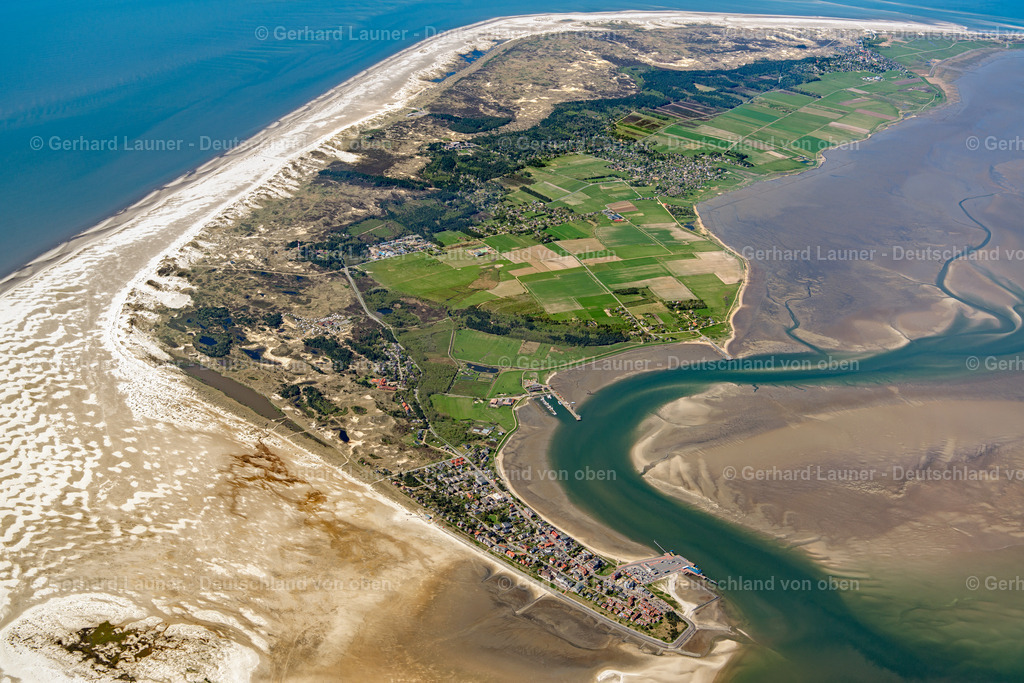 3801696 | Amrum, Nationalpark Schleswig-Holsteinisches Wattenmeer