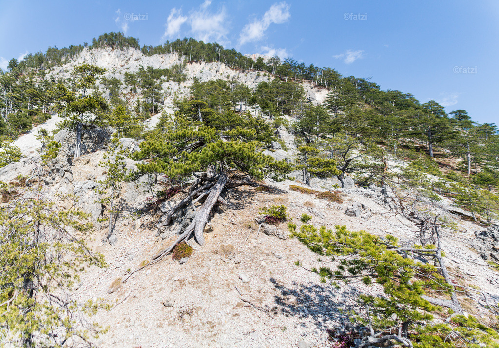 Dobr Hochwald_134538Buchriegel-Panorama-k | Fatzi Bilder-Archiv! 
Die Bilder sind für private Nutzung lizenzfrei. Die kommerzielle Nutzung ist möglich und erwünscht, jedoch bitte ich um vorherige Kontaktaufnahme per E-Mail (info@fatzi.at) oder unter +43 650 7828269 - Realisiert mit Pictrs.com