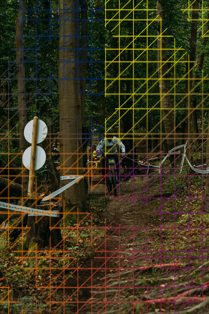 PAE-0233 | Einzigartige Fotokunst für dein Zuhause: Entdecke hochwertige Wandbilder, edle Prints und emotionale Motive von Wildlife, Natur und Landschaften - Realisiert mit Pictrs.com