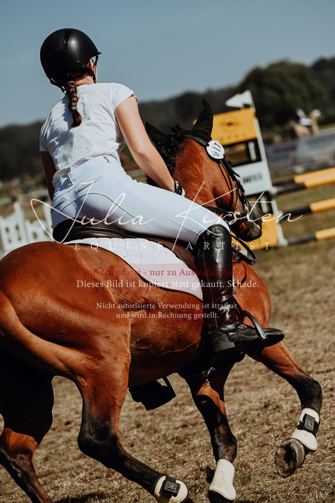 DSC_9960 | Pferde- und Turnierfotografie in Westsachsen. Pferdeportraits, Auftragszeichnungen und intuitive Kunst.