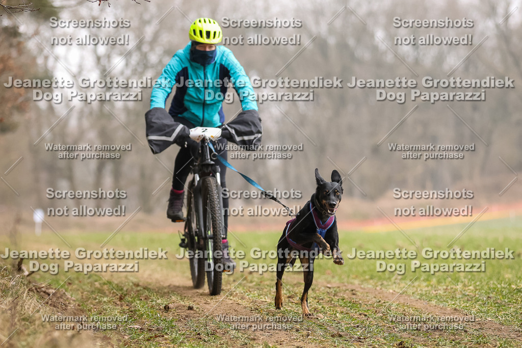 Dog Paparazzi - Plate 2026-68 | Dog Paparazzi Jeanette Grottendiek Fotografie & Videografie - Realisiert mit Pictrs.com