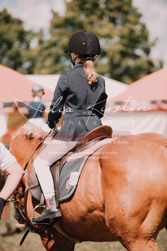 DSC_6245 | Pferde- und Turnierfotografie in Westsachsen. Pferdeportraits, Auftragszeichnungen und intuitive Kunst.