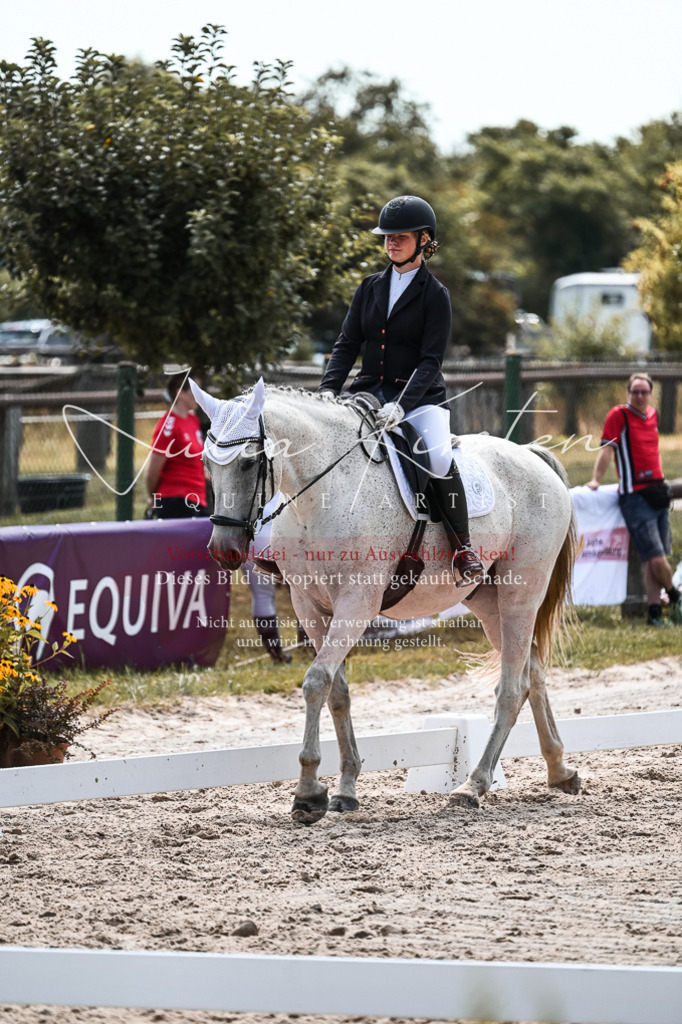 DSC_5295 | Pferde- und Turnierfotografie in Westsachsen. Pferdeportraits, Auftragszeichnungen und intuitive Kunst.