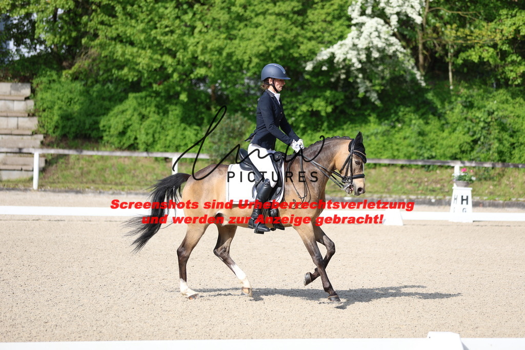 A40A3731 | lmwpictures - Realisiert mit Pictrs.com