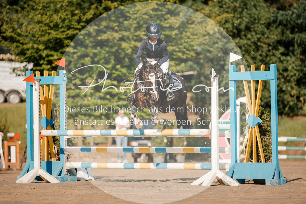 3I6A6126 | Stimmungsvolle Portraits und Reitsportfotografie im Ruhrgebiet und im Münsterland.

Pferdefotografie, Hundefotografie, Tierfotografie, Reportagen, Portraits von Tier und Mensch, Turnierfotografie in Bochum, Recklinghausen, Marl, Haltern am See, Dülmen.. - Realisiert mit Pictrs.com