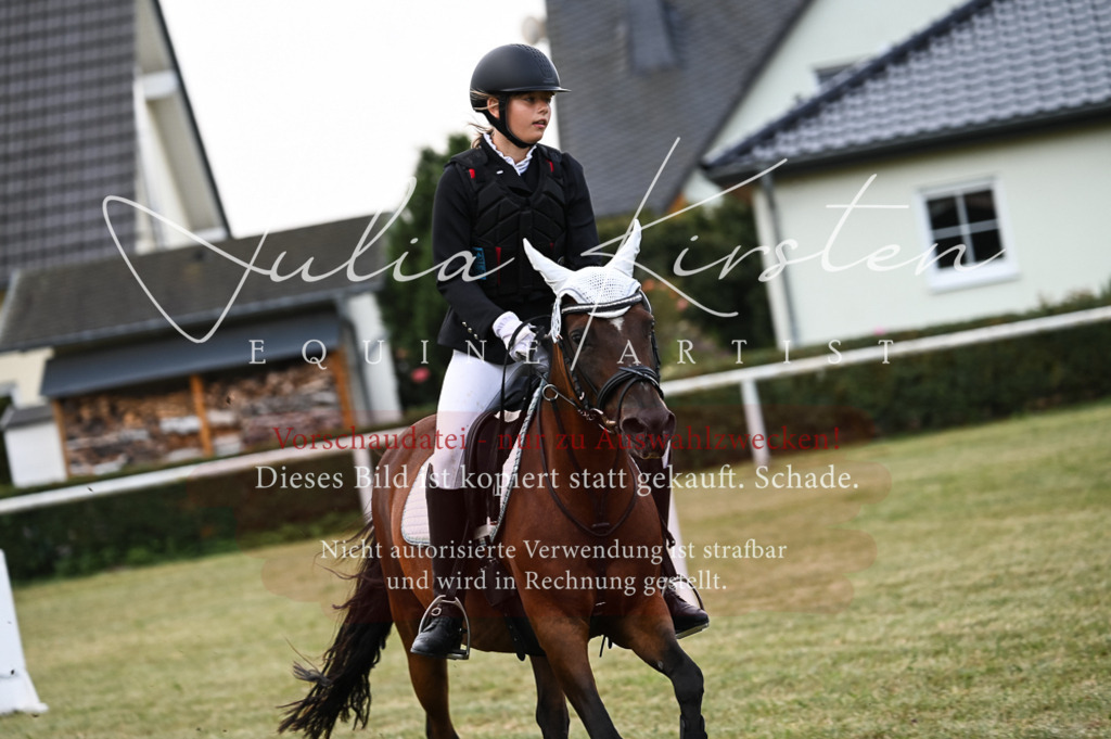 DSC_5719 | Pferde- und Turnierfotografie in Westsachsen. Pferdeportraits, Auftragszeichnungen und intuitive Kunst.