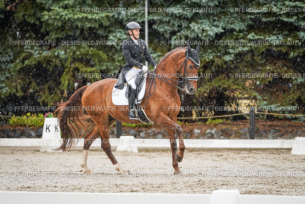 DSC08985 | Pferdegrafie