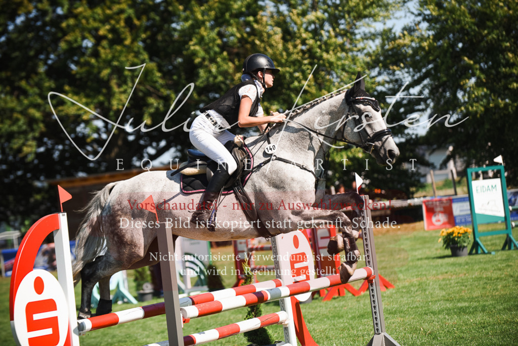 DSC_2910 | Pferde- und Turnierfotografie in Westsachsen. Pferdeportraits, Auftragszeichnungen und intuitive Kunst.