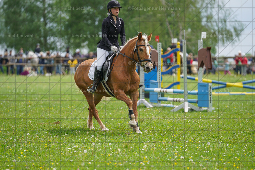 20240509-FAH02466 | Turnierbilder der Turnierfotografen Bayern, Pferdesport Fotografie, Reitsportbilder, Turnier Landberg am Lech, Turnierbilder bayern, Fotoagentur Herrmann