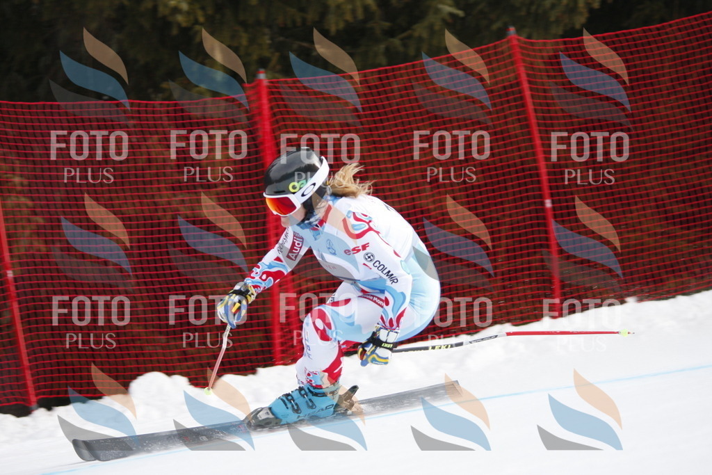 D4716 | holidayphoto