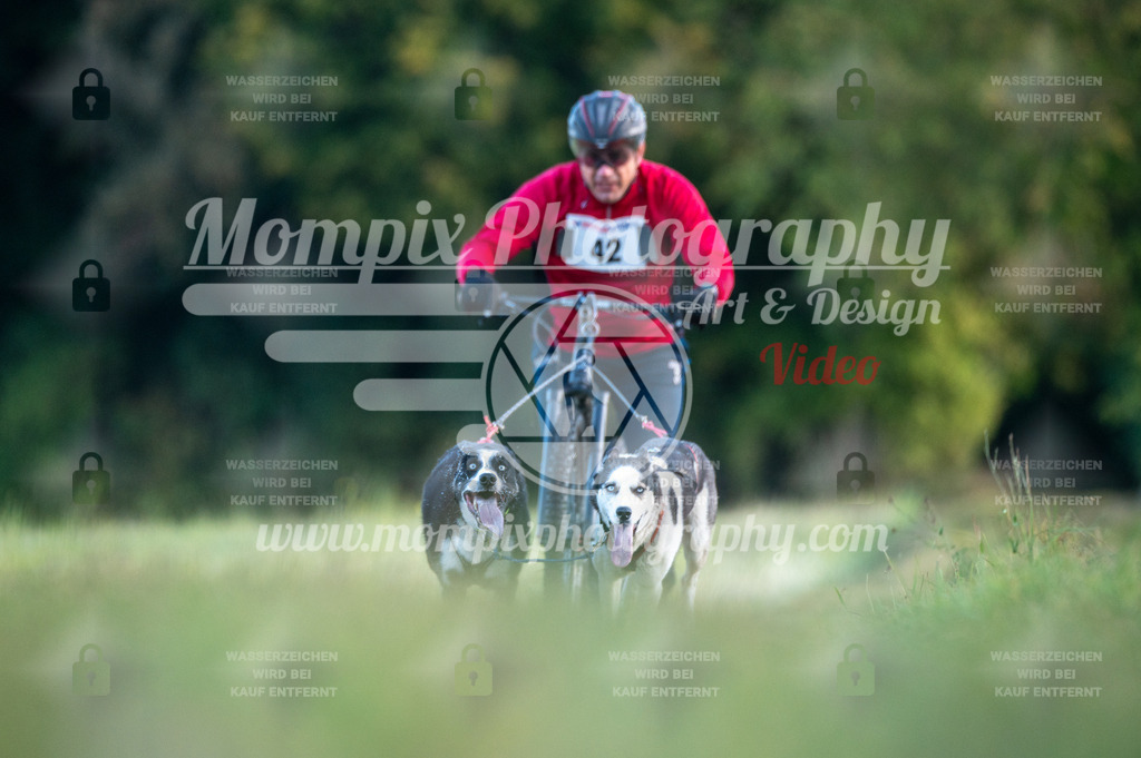 CDLBDB_15_10_2023_Dimanche-94 | mompixphotography